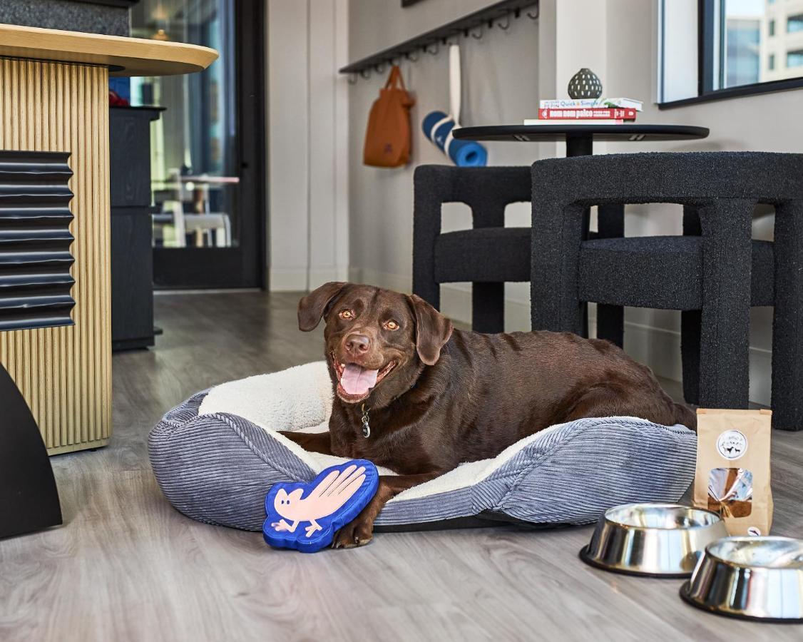 Catbird Hotel Denveri nemzetközi repülőtér Kültér fotó