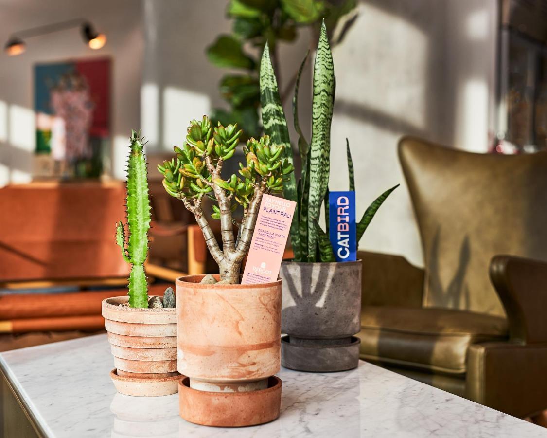 Catbird Hotel Denveri nemzetközi repülőtér Kültér fotó